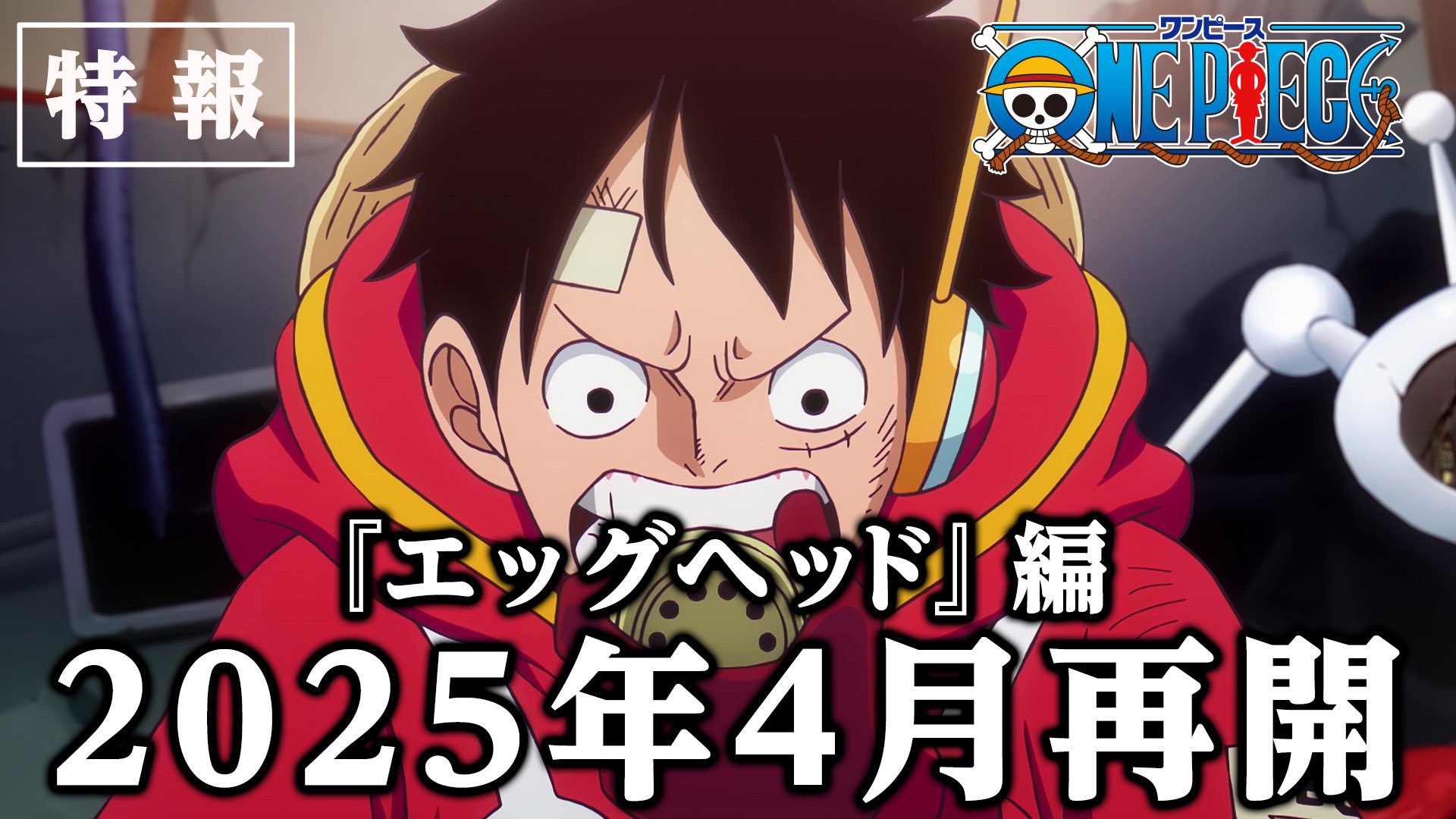 Anime One Piece - Eiichiro Oda