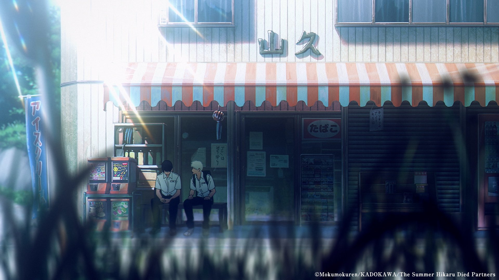 The Summer Hikaru Died